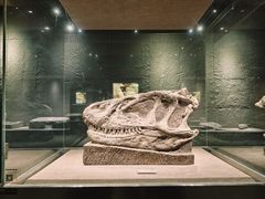 -自贡恐龙博物馆