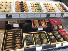 -布歌东京(金融街购物中心店)
