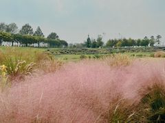 -上海辰山植物园