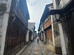 -乌镇东栅景区