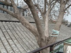 -糖房咖啡(南锣鼓巷店)