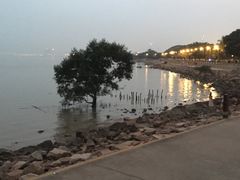 -深圳湾公园(南山区)
