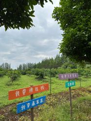 -前小桔亲子创意农场·草莓采摘·露营烧烤