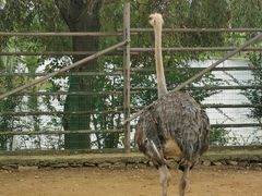 -羊亭河湿地公园