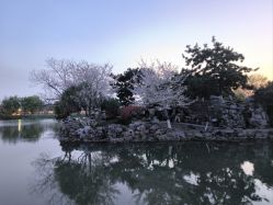 -玄武湖景区-情侣园游乐场