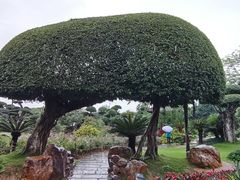 -南宁南湖公园