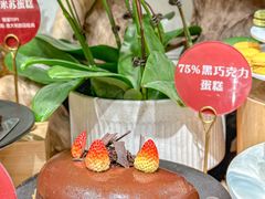 -京彩臻品火锅