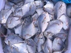 -芦潮港集贸市场