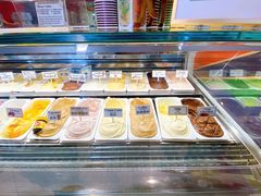 -Dooley's Premium Ice Cream