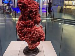 -上海中国航海博物馆