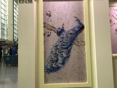 火烈鸟-随心小姐