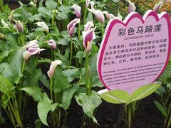 -长春农博园