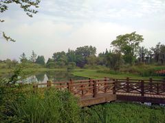 -桤木河湿地公园