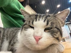 -清真海鲜大排档(原芥园道店)