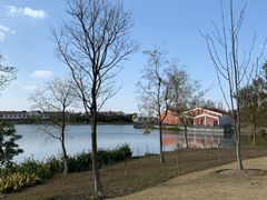 -上海长兴岛郊野公园