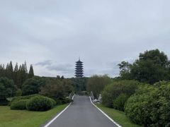 -宜兴龙背山森林公园