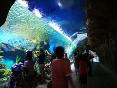 -华夏文旅海洋公园