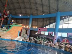 -海合安武汉极地海洋公园