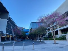 -布里斯班南岸公园