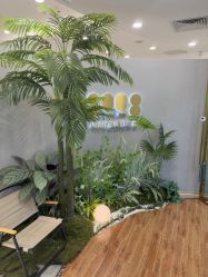 -八佰伴8008星级形象店