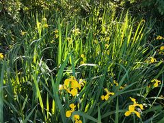-沈阳辉山风景区