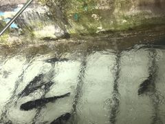 -姥家大锅台水库渔家