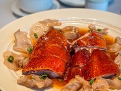 -新兴·金羊座·粤菜点心(乐峰店)