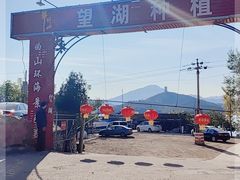 -望湖烤鱼