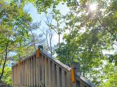 -帽儿山国家森林公园