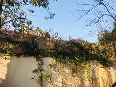 -云里小坐·小院里·团建·宴请·下午茶(三圣乡店)