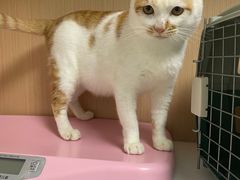 -谐和贝康宠物医院24小时·宠保定点(急重症转诊中心)