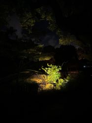 -丁香花园申粤轩·宴会厅