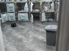 -东莞宠友24H宠物中心医院·转诊夜诊·异宠(新河北路院)