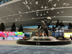 -青岛胶东国际机场