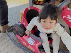 -前小桔亲子创意农场·草莓采摘·露营烧烤