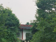 -金山公园