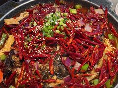 -南锣肥猫·麻辣烤鱼·15年现烤现卖(通州领展店)