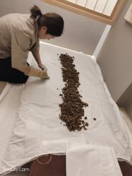 -姜美堂·蒸姜除湿の纤体美颜馆