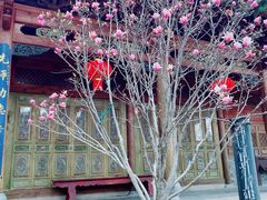 -在路上酒吧(大理古城店)