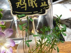 -饵块食光·云南有机手作饵块