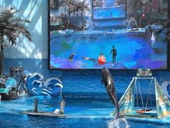 -海合安成都极地海洋公园