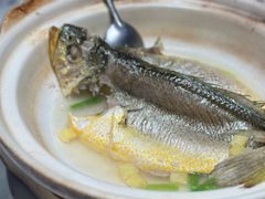潮州姿娘百秒大黄鱼-潮堂 · 潮州菜(国贸商城店)