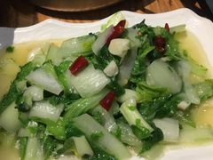 -滇铺子·云南特色菜·第九届野生菌美食节(东风东路c86店)