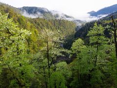 -龙苍沟森林公园