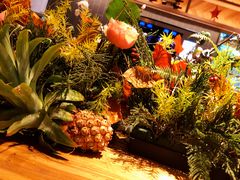 -Bco豆库(星耀天地店)