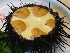 -宾朋海鲜特色美食餐厅·纯手工鲅鱼水饺(兴海路店)