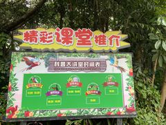 -广州长隆飞鸟乐园