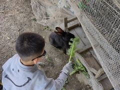 -菊园百果园