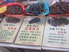 -马陆小张葡萄园农家乐