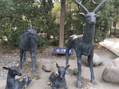 -溱湖国家湿地公园